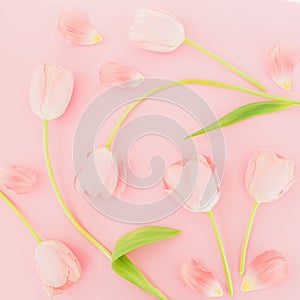 Floral background with tulips flowers on pink pastel background. Flat lay, top view. Spring time background.