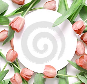 Floral background with tulips flowers on white background. Flat lay, top view. Lovely greeting card with tulips for Mothers day, w