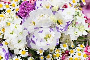 Floral background of various colorful flowers, vivid bright blossoms background of flowers