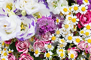 Floral background of various colorful flowers, vivid bright blossoms of flowers