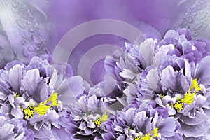 Floral background violet peonies. Flowers close-up on a purple background. Flower composition.