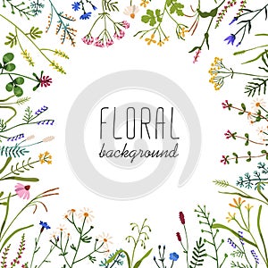 Floral background with wild flowers circle frame. Botanical square card design with field and meadow plants. Spring and