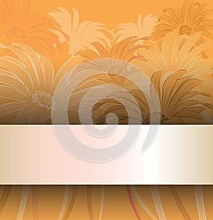 Floral backgrounds with chamomiles photo