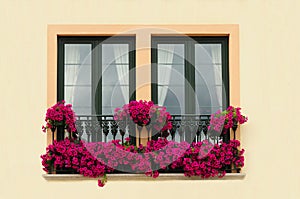 Floral balcony