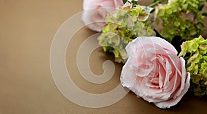 Floral baner. Pink rose and green hydrangea, brown background with copy space