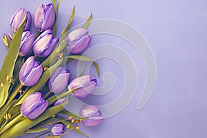 Floral beauty Bouquet of purple tulips on a veri peri backdrop