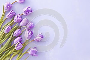 Floral beauty Bouquet of purple tulips on a veri peri backdrop