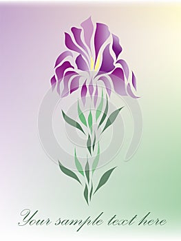 Floral beauty greeting card vector