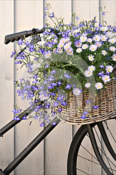 Floral bike