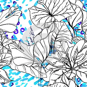 Floral Black and White Pattern. Blue Artistic