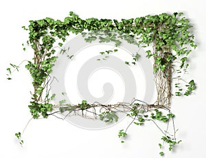 Floral blank frame background