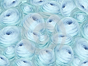 Floral blue background. A bouquet of roses flowers. Close-up. Flower composition.