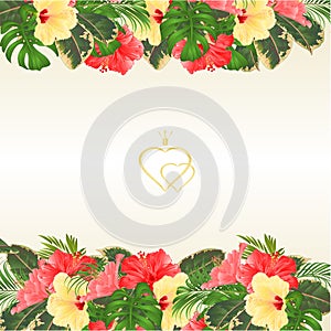 Floral border with blooming various hibiscus and tropical leaves vector Illustration flower background with place for your text