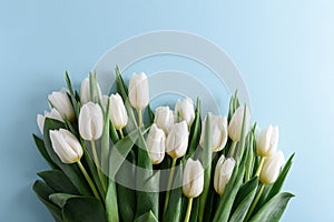 Floral border from bouquet of white tulips on blue background. Anniversary celebration concept. Copy space. Top view