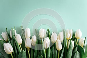 Floral border from bouquet of white tulips on green background. Anniversary celebration concept. Copy space. Top view