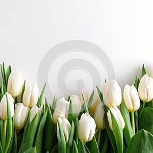 Floral border from bouquet of white tulips on white background. Anniversary celebration concept. Copy space. Top view