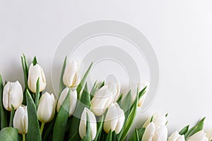 Floral border from bouquet of white tulips on white background. Anniversary celebration concept. Copy space. Top view