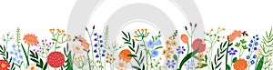 Floral border decoration. Meadow wildflower, horizontal decor. Blossomed field flowers, delicate blooms, branches