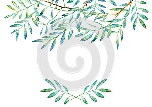 Floral border .Garland of a pistachio branches.Frame of a herbs.