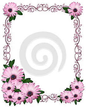 Floral border Purple Daisies