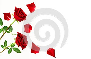 Floral border of red rose flowers and petals rose