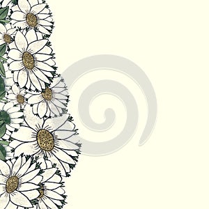 Floral border for social media posting in enternet