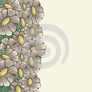 Floral border for social media posting or invitation for wedding