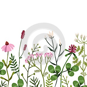 Floral border on square background. Botanical card with wild flowers and herbal plants. Backdrop with various delicate