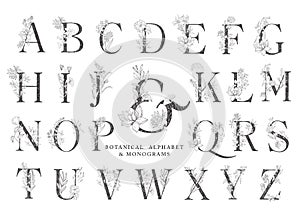 Floral botanical alphabet. Letter with plants and flowers.