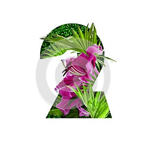 Floral botanical alphabet. number 2 with plants and flowers decoration