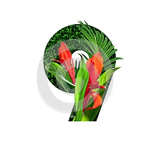 Floral botanical alphabet. number 9 with plants and flowers decoration