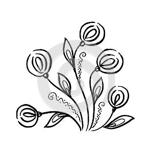 Floral botanical dandelion flower bouquet. Isolated illustration element. Line art hand drawing wildflower on white