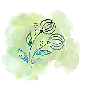 Floral botanical dandelion flower on watercolor green blot. Isolated illustration element. Line art hand drawing