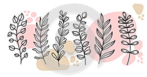 Floral botanical doodle design elements vector set