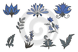 Floral and Botanical motifs to create ornaments or patterns.