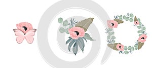 Floral bouquet composition set, pink poppy flowers and leaves