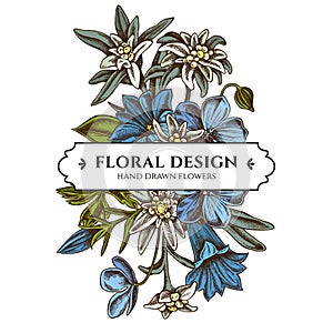 Floral bouquet design with colored edelweiss, meadow geranium, gentiana