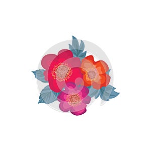 Floral bouquet for greeting card design. Flower posy background.