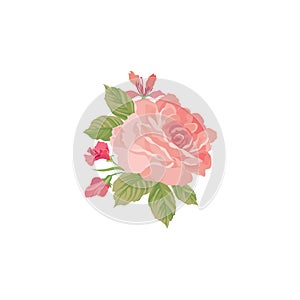 Floral bouquet isolated. Flower rose posy greeting card design element.