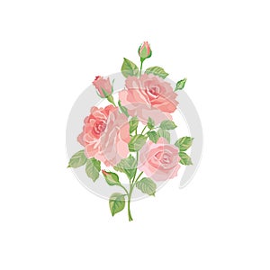 Floral bouquet isolated over white background. Flower rose posy.