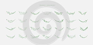 Floral branch and minimalist flowers for logo or tattoo. Hand drawn line wedding herb, elegant leaves for invitation