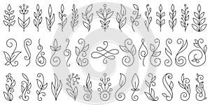 Floral branch ornament hand drawn flower doodle line set, plant brush collection