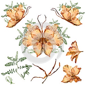 Floral butterfly made from bizarre curved extruded dried lily pe