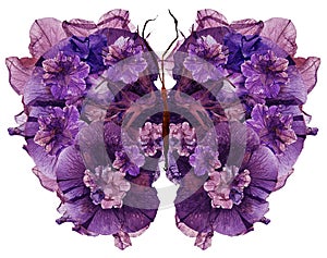 Floral butterfly made dried lily petals pressed Petunia flower