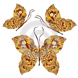 Floral butterfly made of dry leaves and flowers