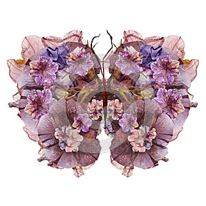 Floral butterfly made of flowers