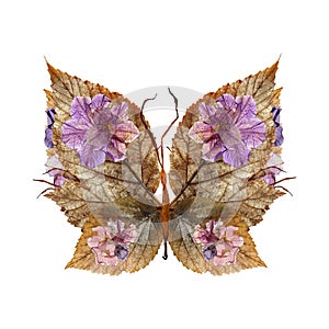 Floral butterfly made of flowers and leaves