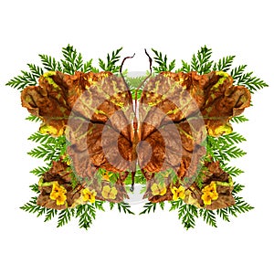 Floral butterfly made of flowers and leaves