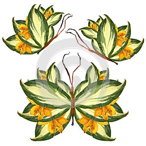 Floral butterfly made of lily petals leaves and flowers