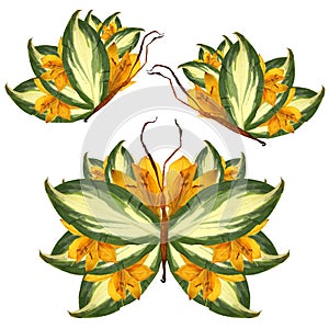 Floral butterfly made of lily petals leaves and flowers